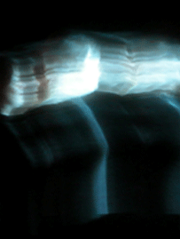 2008numus.rfn.gif